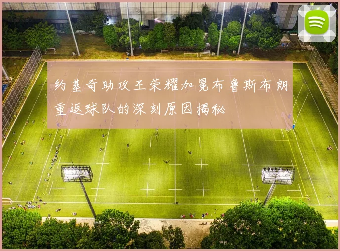 约基奇助攻王荣耀加冕布鲁斯布朗重返球队的深刻原因揭秘