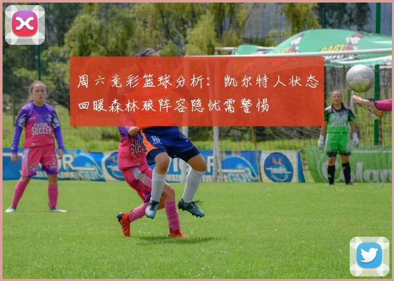 周六竞彩篮球分析：凯尔特人状态回暖森林狼阵容隐忧需警惕