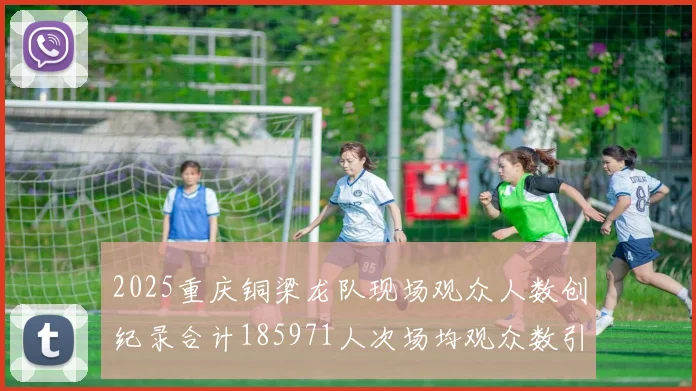 2025重庆铜梁龙队现场观众人数创纪录合计185971人次场均观众数引发热议